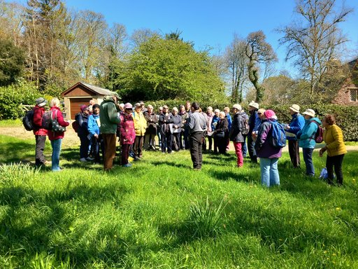 Antony Woodland Gardens and Antony House in May 2023