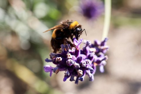 Winner of the Photograph Competition - August 2025
