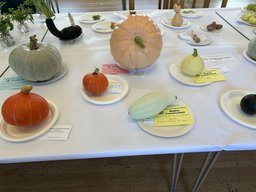 Exhibit