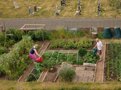 Trevor and Deborah Allotment