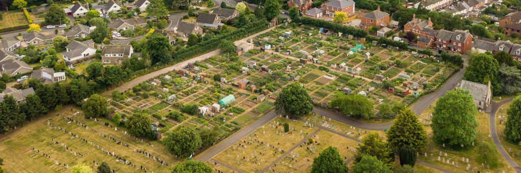 Aerial View of the Allotments