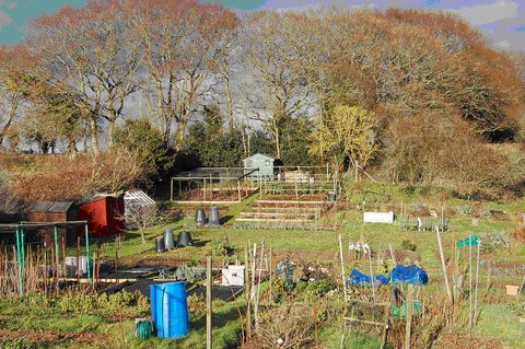 Allotments