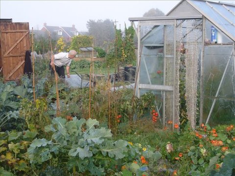 Allotments 3