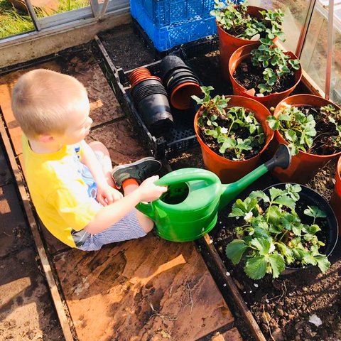 Watering Greenhouse